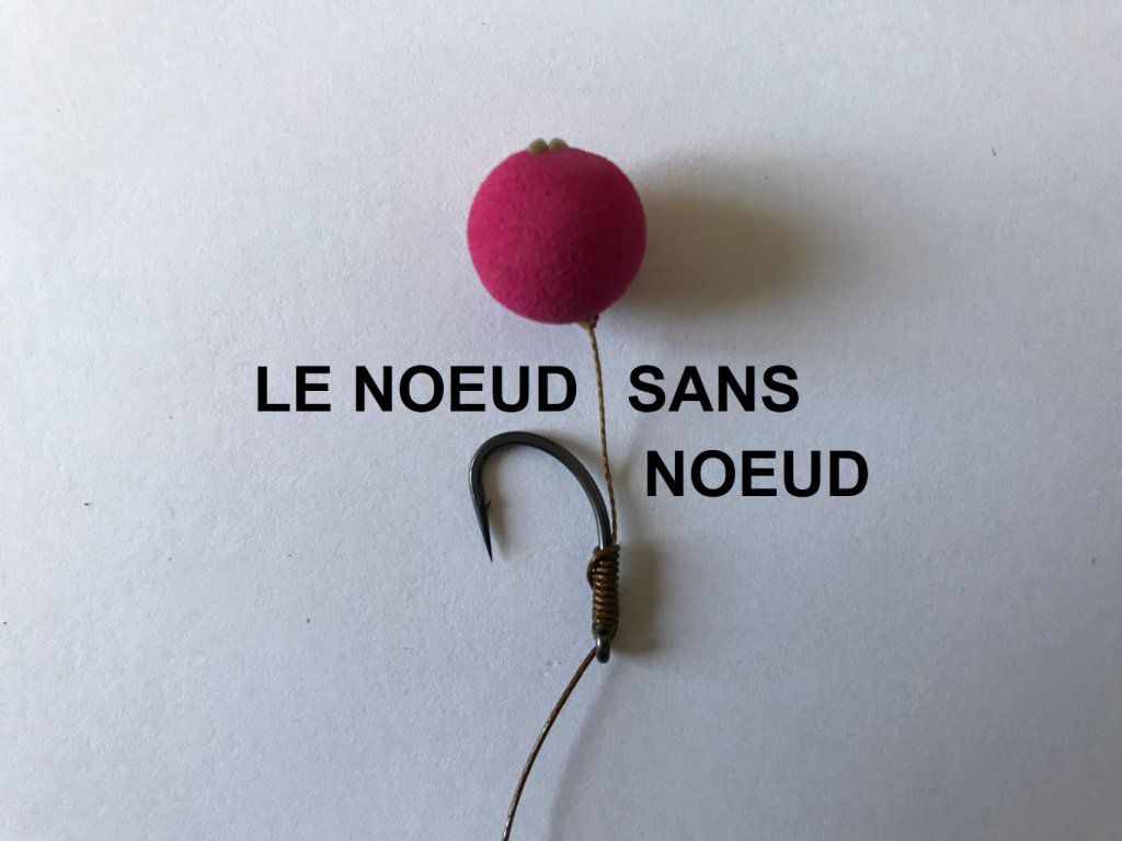 Le 'NŒUD SANS NŒUD'
 est incontournable pour la pêche de la carpe. Voici une explication, pas à pas, sur la façon de le réaliser.
Accédez à l'article en cliquant sur la photo.