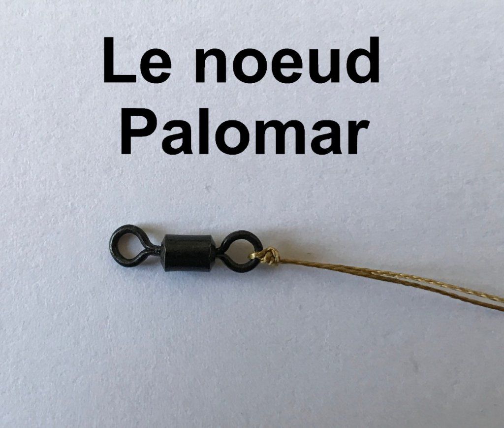 Le NŒUD PALOMAR.
Cliquer sur la photo pour voir comment réaliser l'un des nœuds les plus solides pour la pêche.