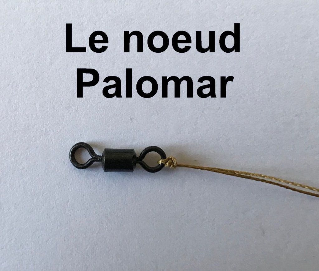 Le NŒUD PALOMAR.

Cliquer sur la photo pour voir comment réaliser l'un des nœuds les plus solides pour la pêche.