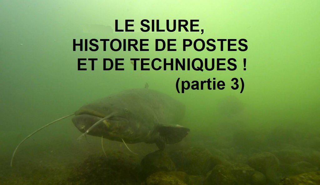 Quels sont les meilleurs postes à silure et comment les pêcher ?
Voici la troisième et dernière partie.